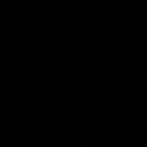 Meet your Posher, Jayden